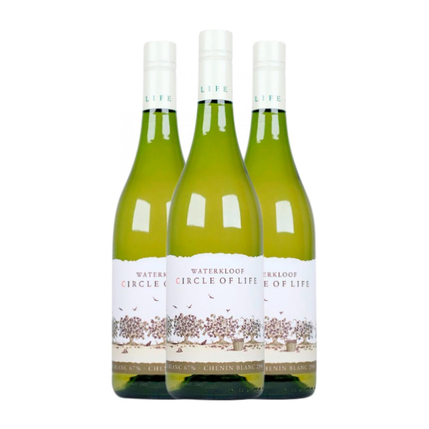 Waterkloof White Circle of Life Stellenbosch 75 cl Vino blanco (Caja de 3 Botellas de 75 cl)