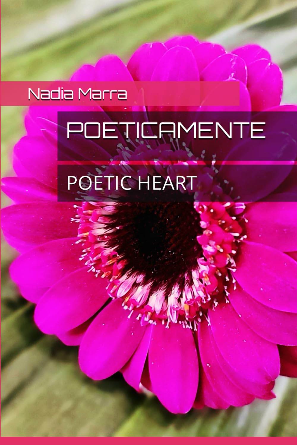 POETICAMENTE: POETIC HEART