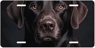 Black Lab Dog License Plate Novelty Decoration Car Front Plate Aluminum Print Pattern Car Plates Vintage Auto License Plate Decor for Men Women Standard Size