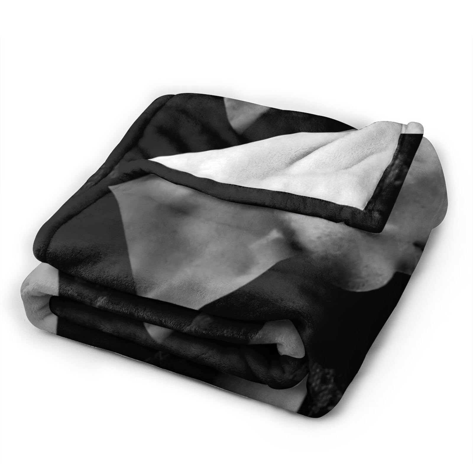 Amazon.com: STYLESS Austin Butler Throw Blanket Flannel Lightweight Fleece  Blankets Bedding for Bed Sofa Couch Travelling Decor 50X40 : Home u0026  Kitchen