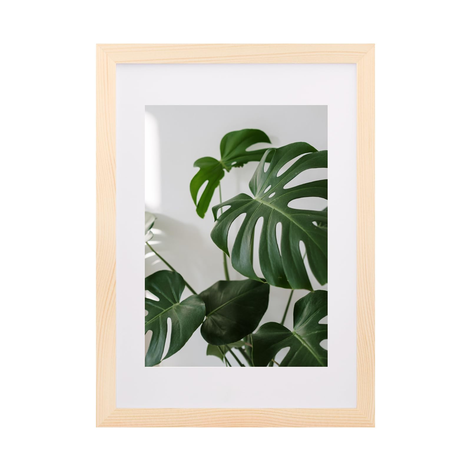 EGOFINE A3 Frame,100% Solid Wood Frame,A3 Picture Frames Matted for A4, A3 Photo Frame with Plexiglass,Certificate Frame for Table Top and Wall Mounting,29.7 X 42 cm Poster,Natural Wood