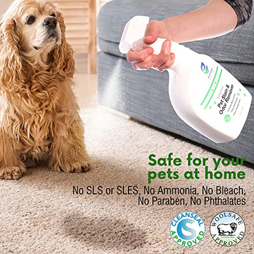 Aesroson Pet Stain and Odor Remover Spray - 3-in-1 Formula Natural Pet Odor Spray- All-Purpose Carpet Deodorizer for Pet… - Image 6