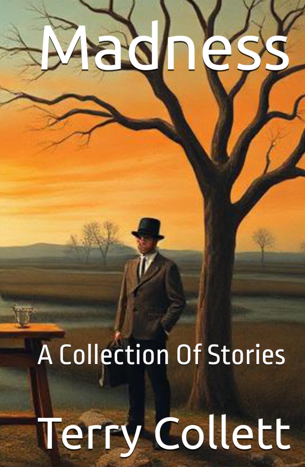 Madness: A Collection Of Stories