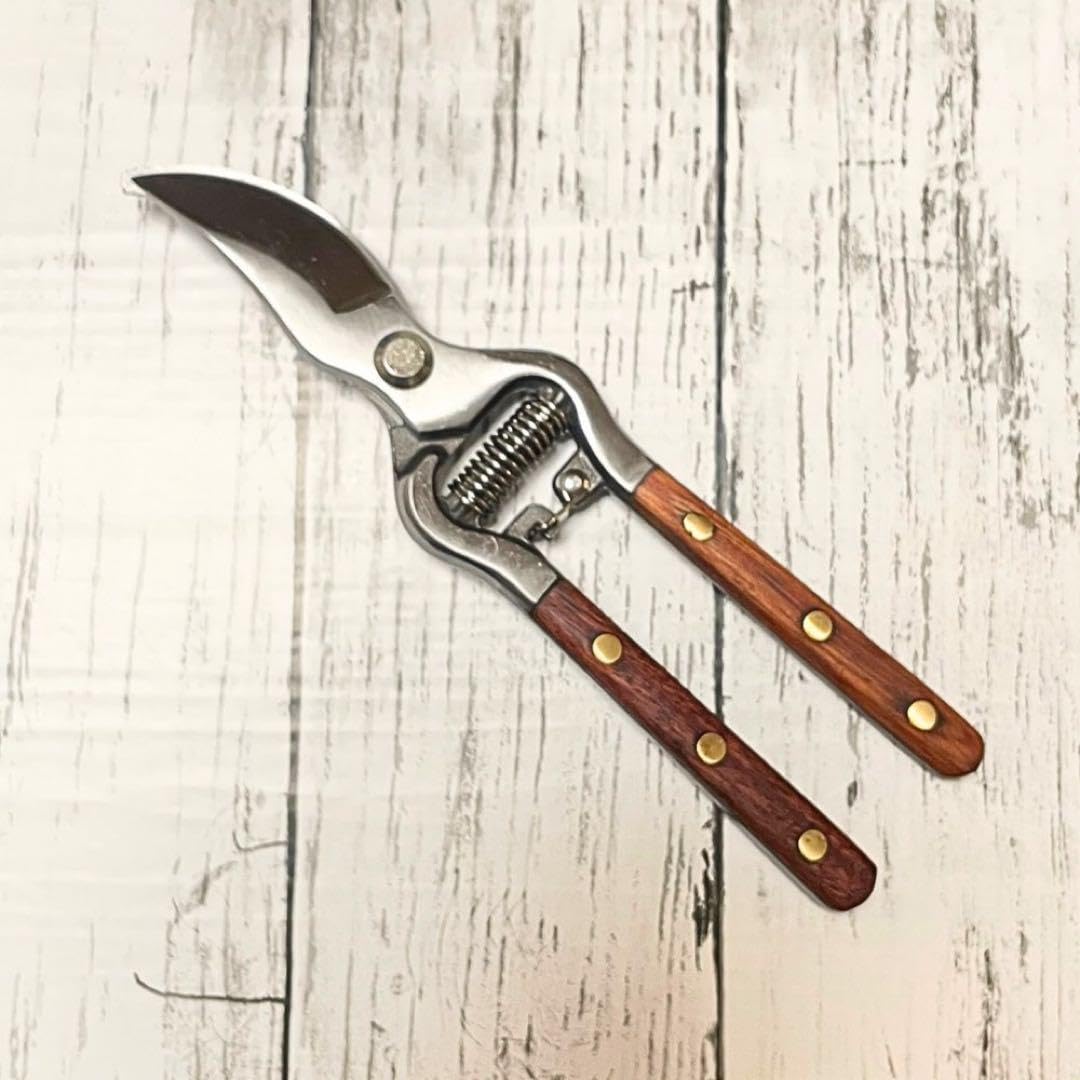 Amazon | 園芸用 剪定バサミ 北欧風 はさみ 多肉植物 サボテン