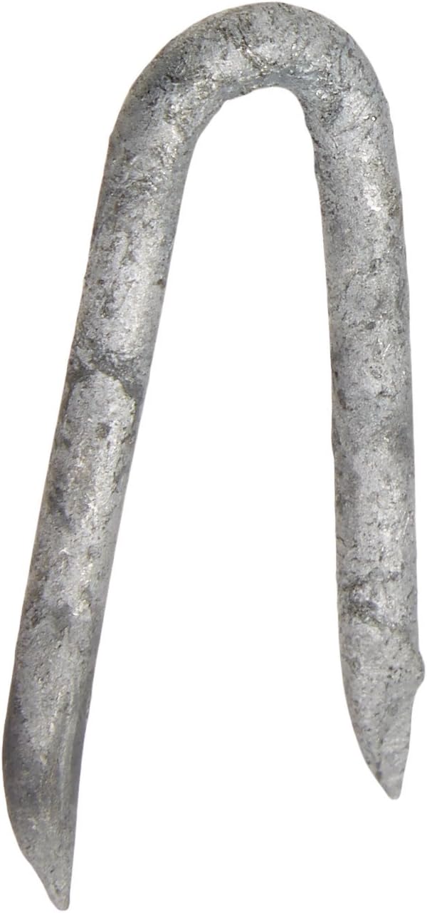 NATIONAL NAIL 50095 5-Pound 1-1/2-Inch Galvanized Staple