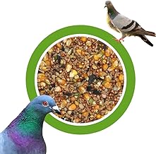 KLASEBO Taubenfutter Universal Mischung 25kg – Premium Ganzjahresfutter für Tauben und Wildvögel – Hochwertiges Vogelfutter ohne künstliche Zusatzstoffe
