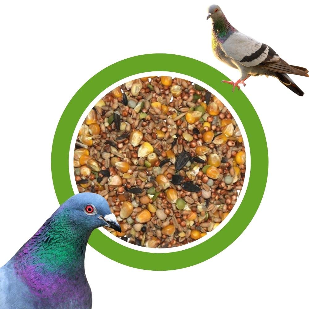 KLASEBO Taubenfutter Universal Mischung 25kg – Premium Ganzjahresfutter für Tauben und Wildvögel – Hochwertiges Vogelfutter ohne künstliche Zusatzstoffe
