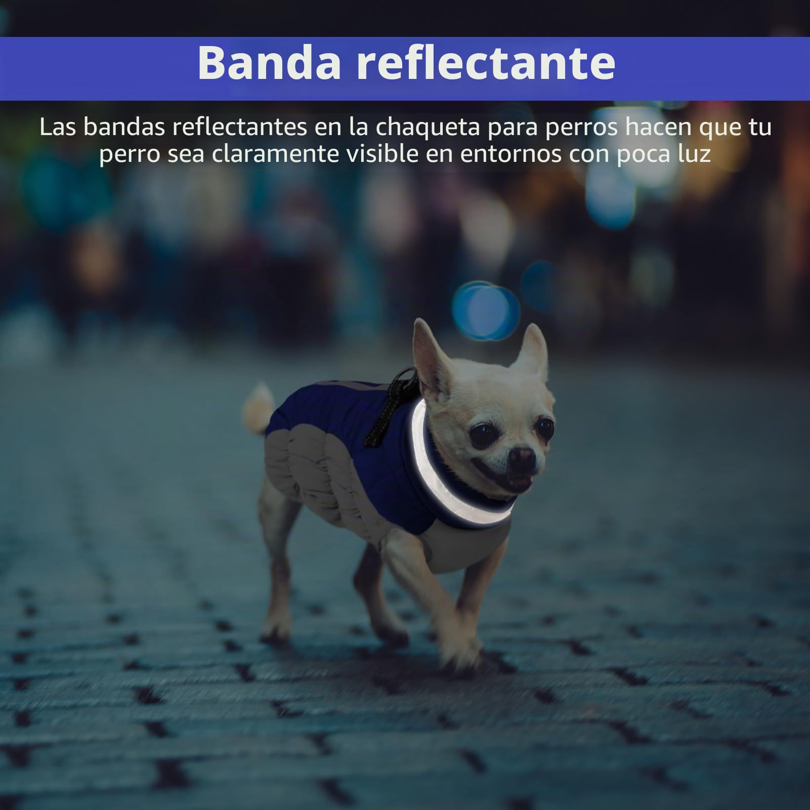 CITÉTOILE Abrigo de invierno para perros, chaqueta para perros con arnés, impermeable para perros con forro polar, para perros pequeños, color azul, M