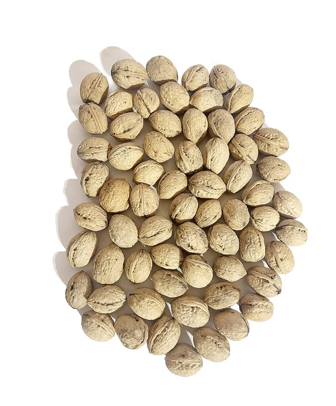 Image of Kashmiri Walnuts with Shell (1kg) | 100% Natural & Organic Akhrot | Rich in Omega-3 & Antioxidants | Perfect for Daily Consumption | Pampore Kashmiri Walnut in Shell 1 Kg