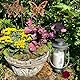 Mariles Laterne zum Stellen mit Griff wetterfest 17 cm Grablaterne Grablicht Grableuchte Friedhofslaterne Windlicht Gartenlaterne Gartenlicht Garten Grab Friedhof