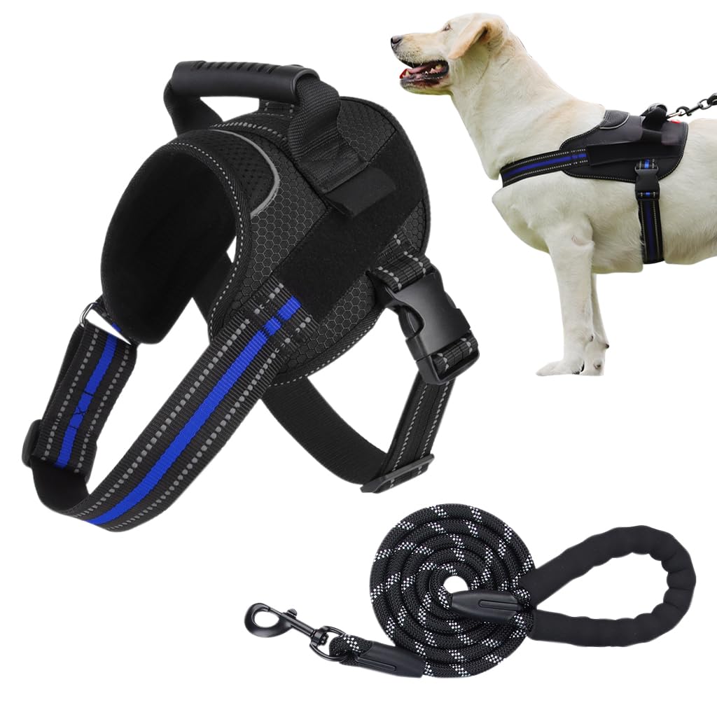 See full amazon price history chart for Qpets® 1.5M Dog Training Leash, Durable Light Reflecting Dog Leash Dog Vest Dog Harness for Large Dog, Adjustable Dog Vest Harness with Quick Release Buckle (L) Qpets® 1.5M Dog Training Leash, Durable Light Reflecting Dog Leash Dog Vest Dog Harness for Large Dog, Adjustable Dog Vest Harness with Quick Release Buckle (L) (B0C5JRVPDY) Amazon Price History, Amazon Price Tracker