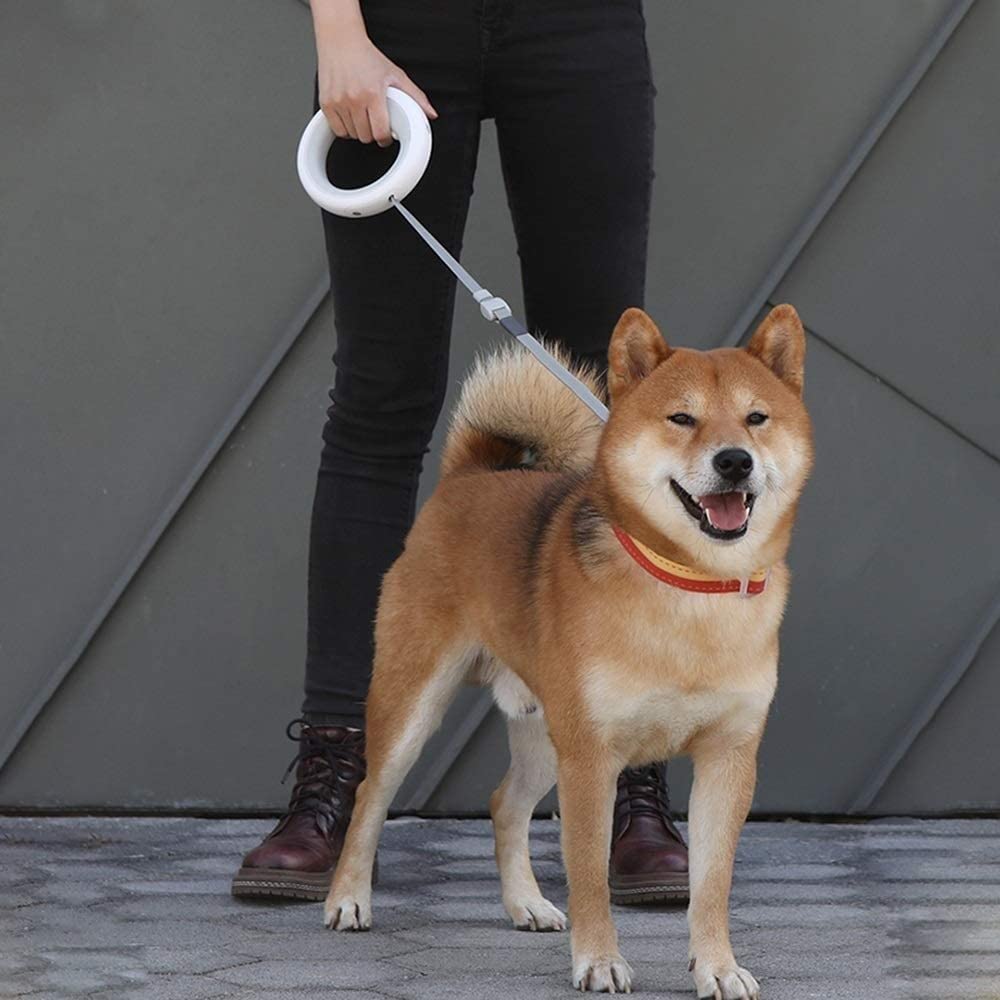 Correa Perro Correr Anillo Retráctil para Correa De Perro, Iluminación Led, Collar Flexible para Mascotas, Ajustable Tracción para Perros Y Cachorros Antideslizantes Reforzada(Oranje)