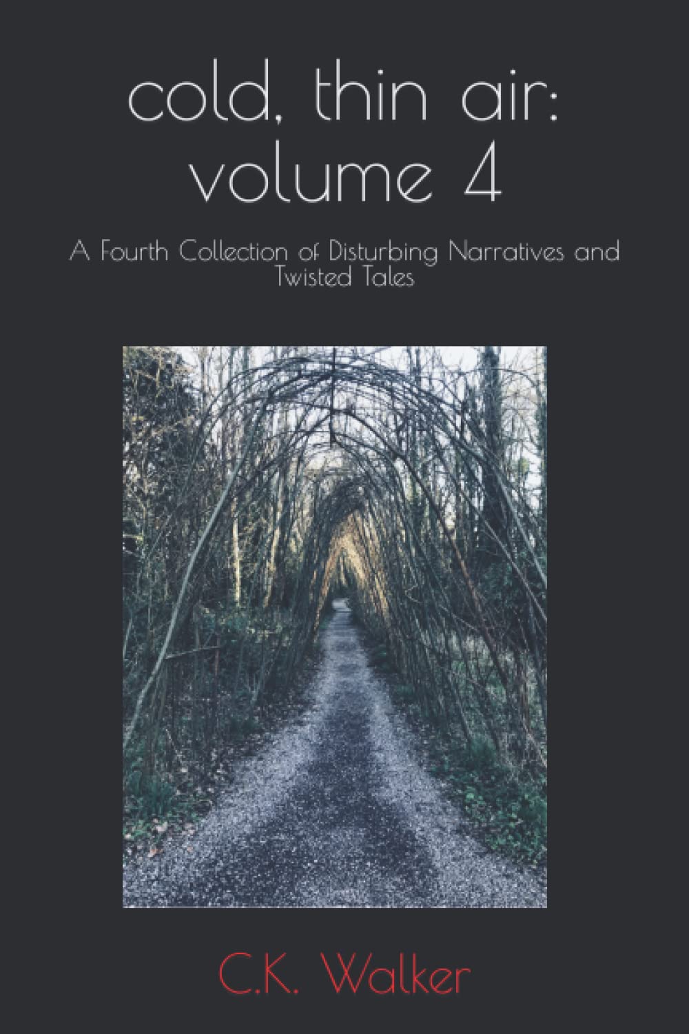cold, thin air: volume 4: A Fourth Collection of Disturbing Narratives and Twisted Tales