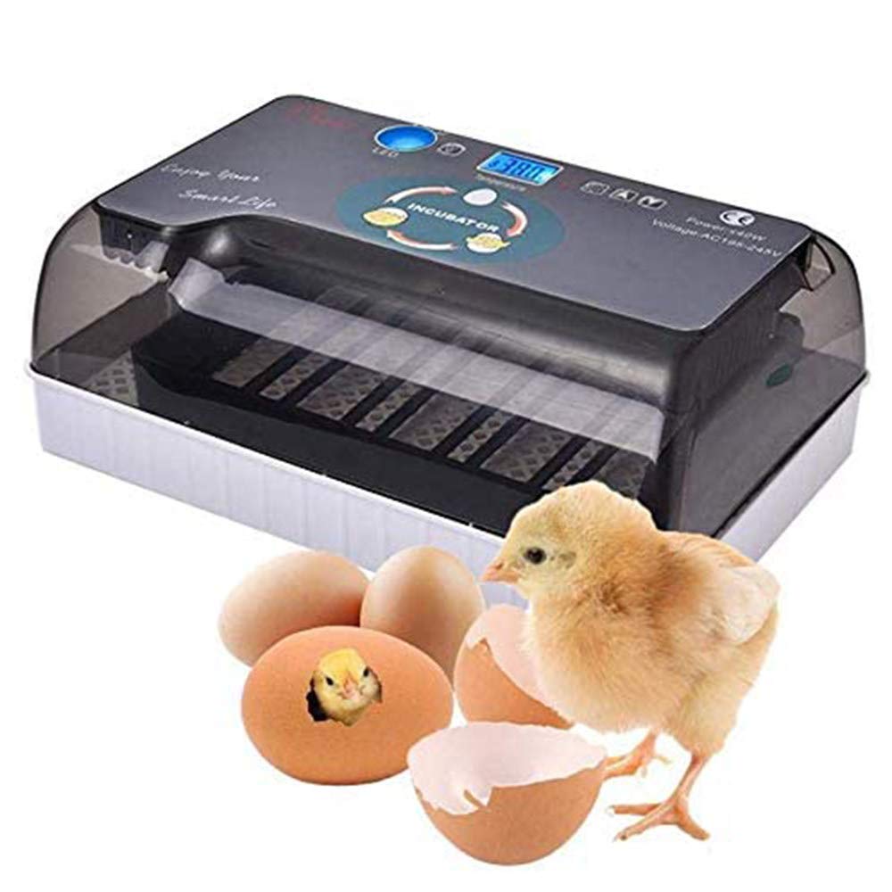 Macchina per incubatrice di pollame Completamente Automatica a 12 Uova, Rotazione Automatica e Controllo della Temperatura, allevatore di Piccole incubatrici digitali per Pollo da cova