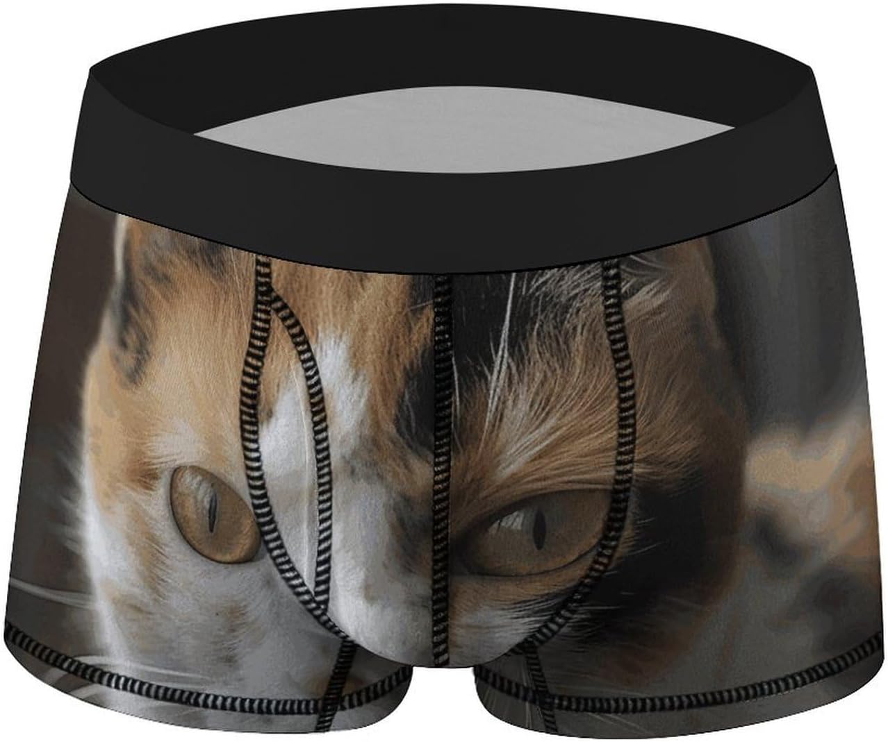 A Cat Mens Boxer Briefs Short Breathable Underwear Trunks Soft Moisture-Wicking Boxer Shorts Novelty Underpants