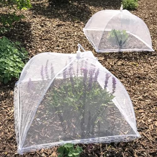 Image of Food Cover for Outside 2Pcs Food Tent Fruit Cover Pop-Up Food Nets Outdoors Mesh Screen Collapsible 17 Inch Net Protectors for Outdoors Parties Picnics BBQs Keep Out Flies Bugs.(White /2)