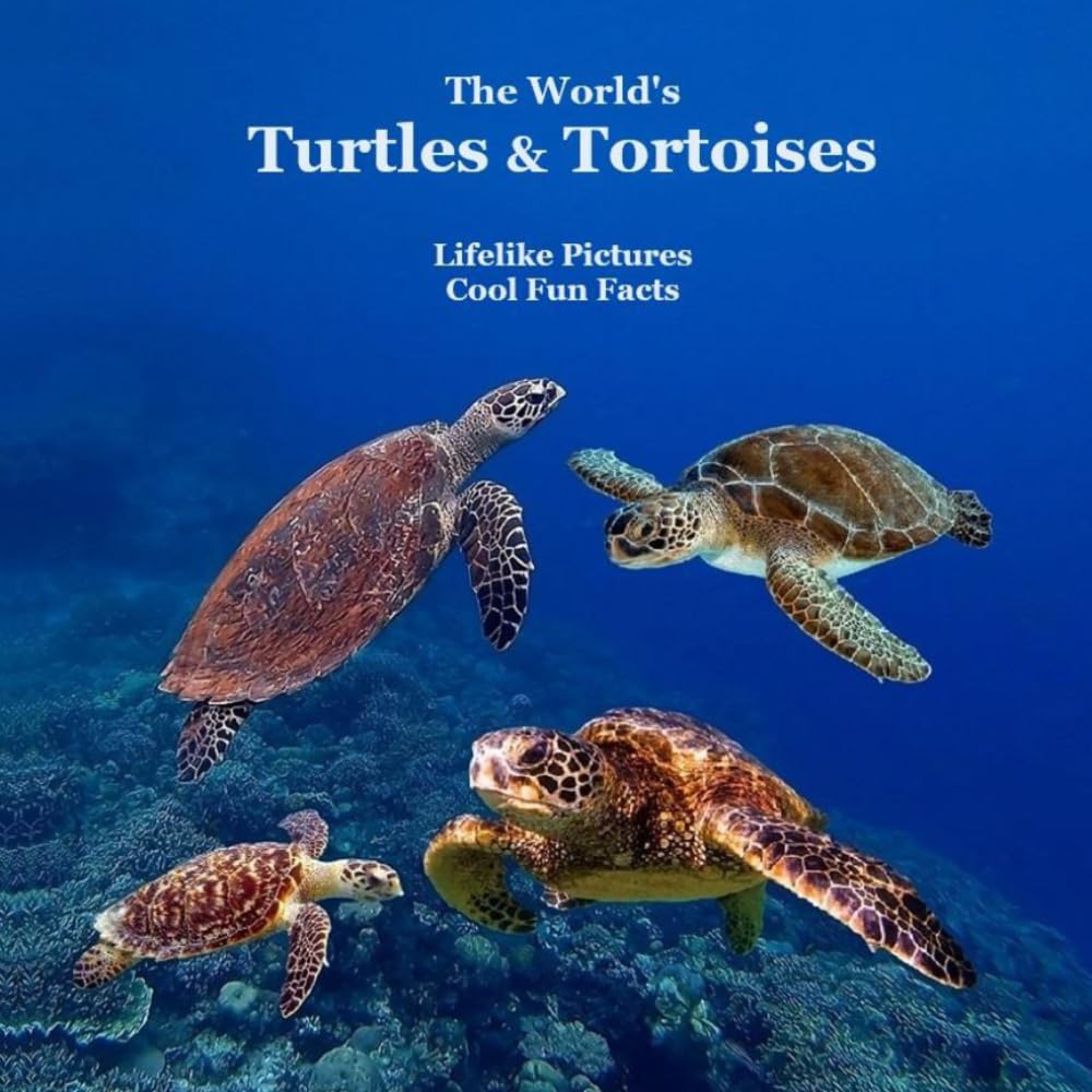 The World's Turtles and Tortoises Kids Book: Great Way for Kids to meet the Turtles and Tortoises of the World