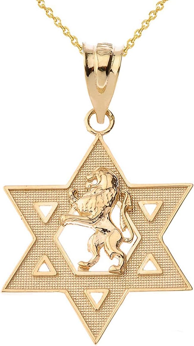 Certified 14k Gold Israel Lion of Judah Magen David Star Hebrew Pendant Necklace