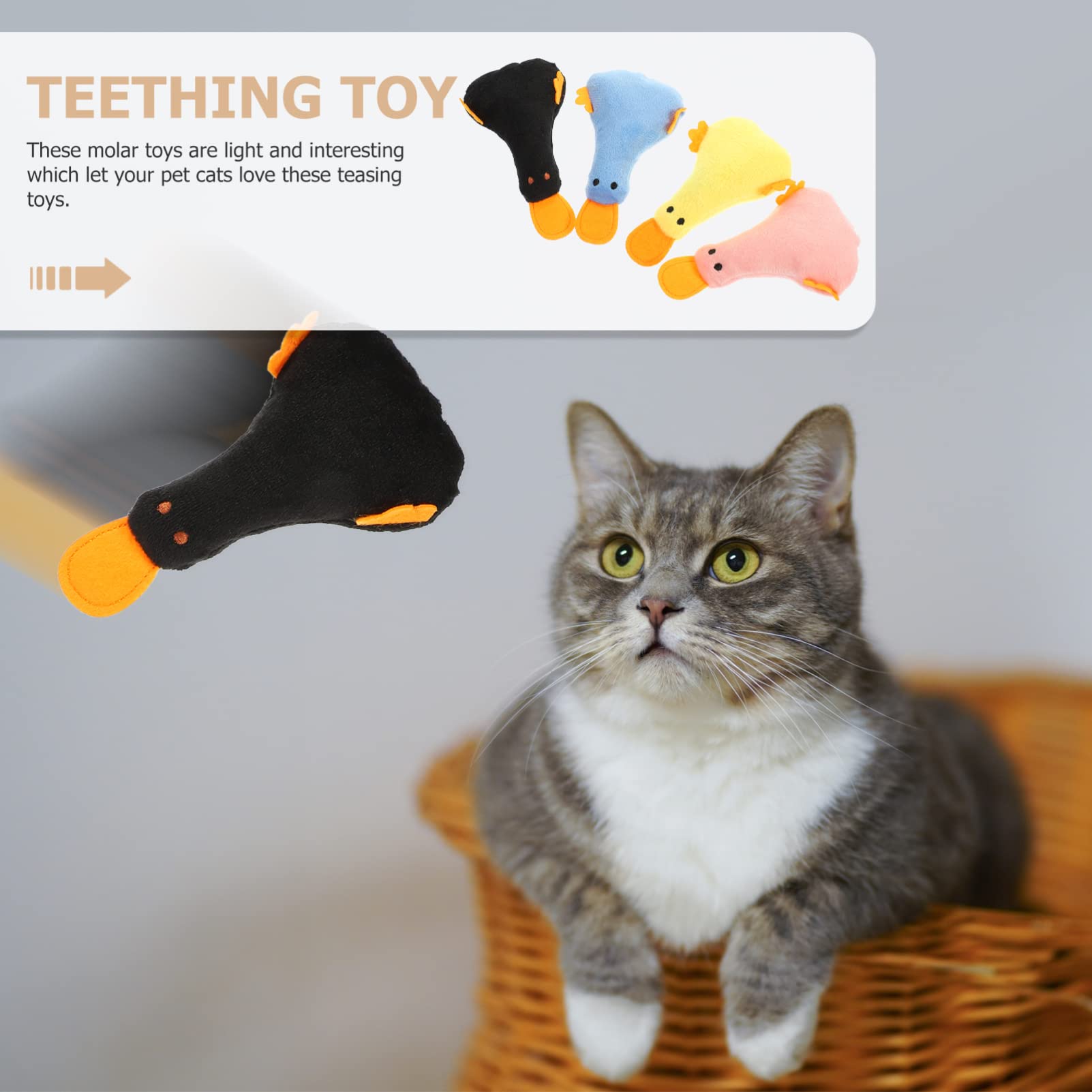 Toddmomy 20pièces Jouets à Mordre pour Chats Jouets Peluche avec Herbe à Chat Accessoires Ludiques De Couleurs