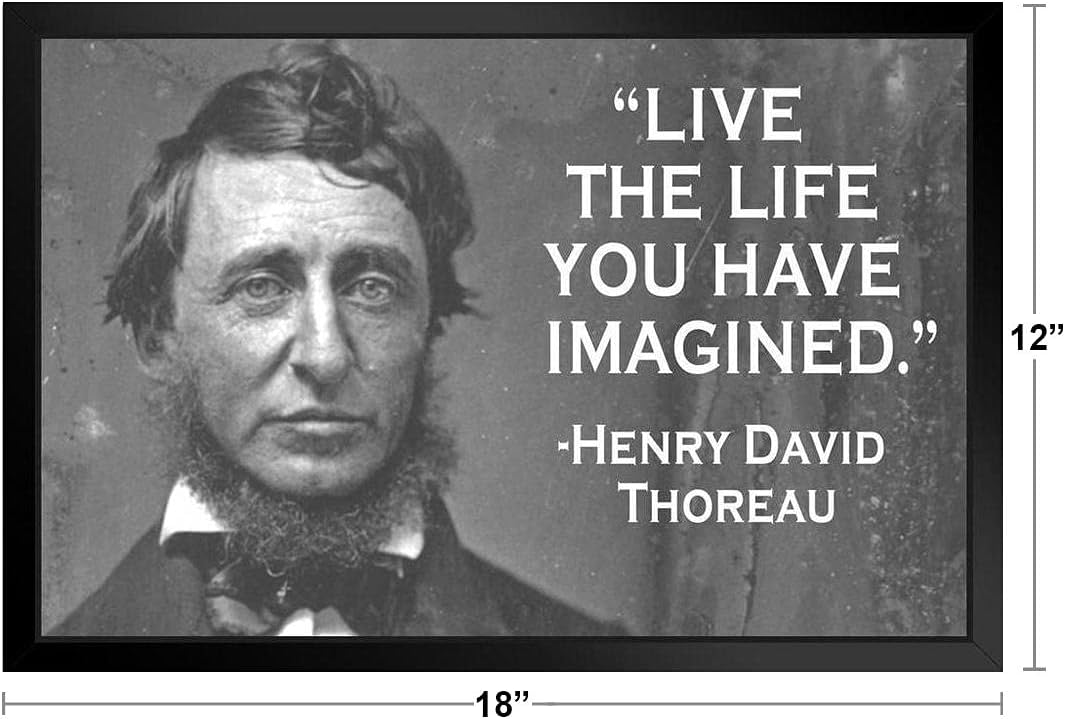Amazon Com Live The Life You Have Imagined Henry David Thoreau Famous Motivational Inspirational Quote Black Wood Framed Poster x14 Posters Prints