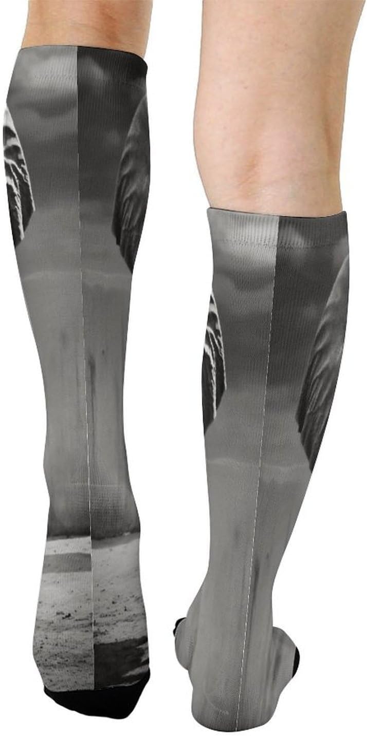 Black And White Elephant Compression Sock Circulation Support Socks Lightweight Knee High Tube Sock Over-The-Calf Sock for Adult