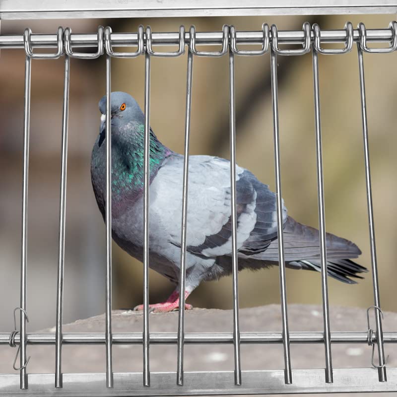 Image of Pigeon Bird Cage Door Coop Birds House Loft Entrance Racing Automatic Chicken Wire Frame Cages Supply Supplies Window Metal (10 Pcs)