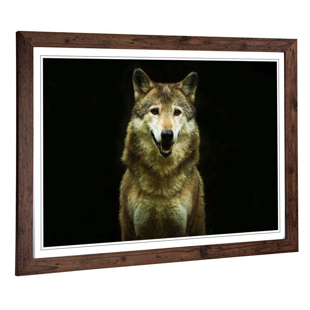 Big Box Art Framed Print of Wolf (3) Design | Wall Art Picture | Home Decor for Kitchen, Living, Dining Room, Lounge, Bedroom, Hallway, Office, Walnut, A2 / 24.5x18 Inch / 62x45cm