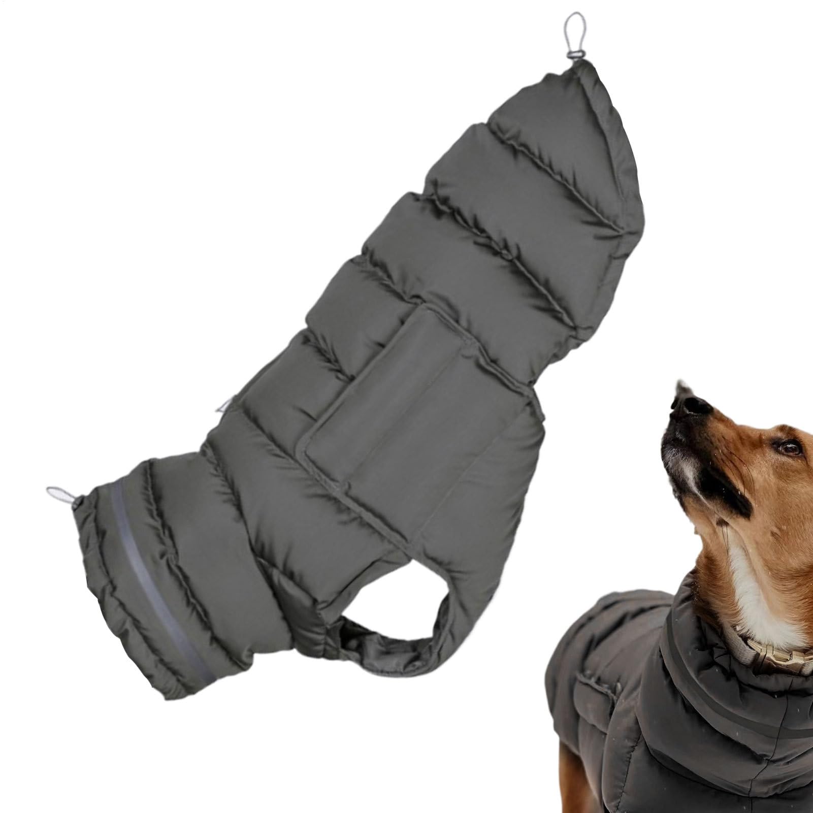 Gilet pour temps froid et veste d'hiver pour chien de randonnée rouge
