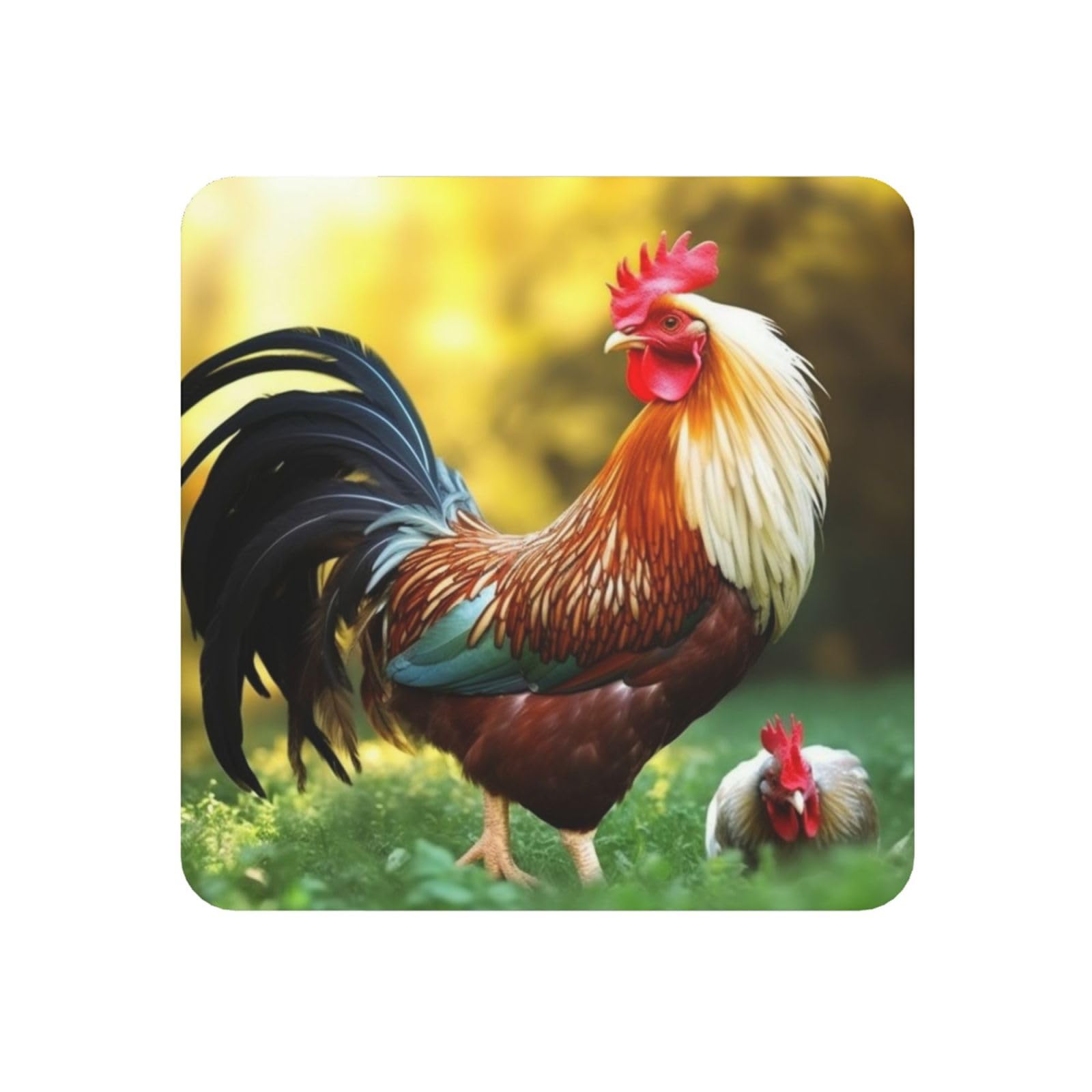 Fodpand Square Beautiful Rooster Hen Fridge Magnets, Strong Small Refrigerator Magnets Decorative Magnets For Kitchen Fridge Office Locker - Funny Magnetic Stickers Birthday Gifts