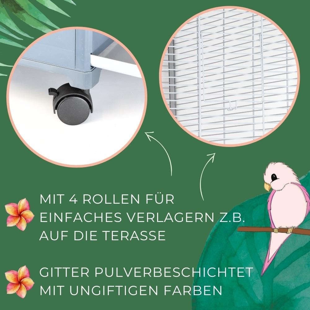 Tuinvogels I Alle informatie over de halsbandparkiet
