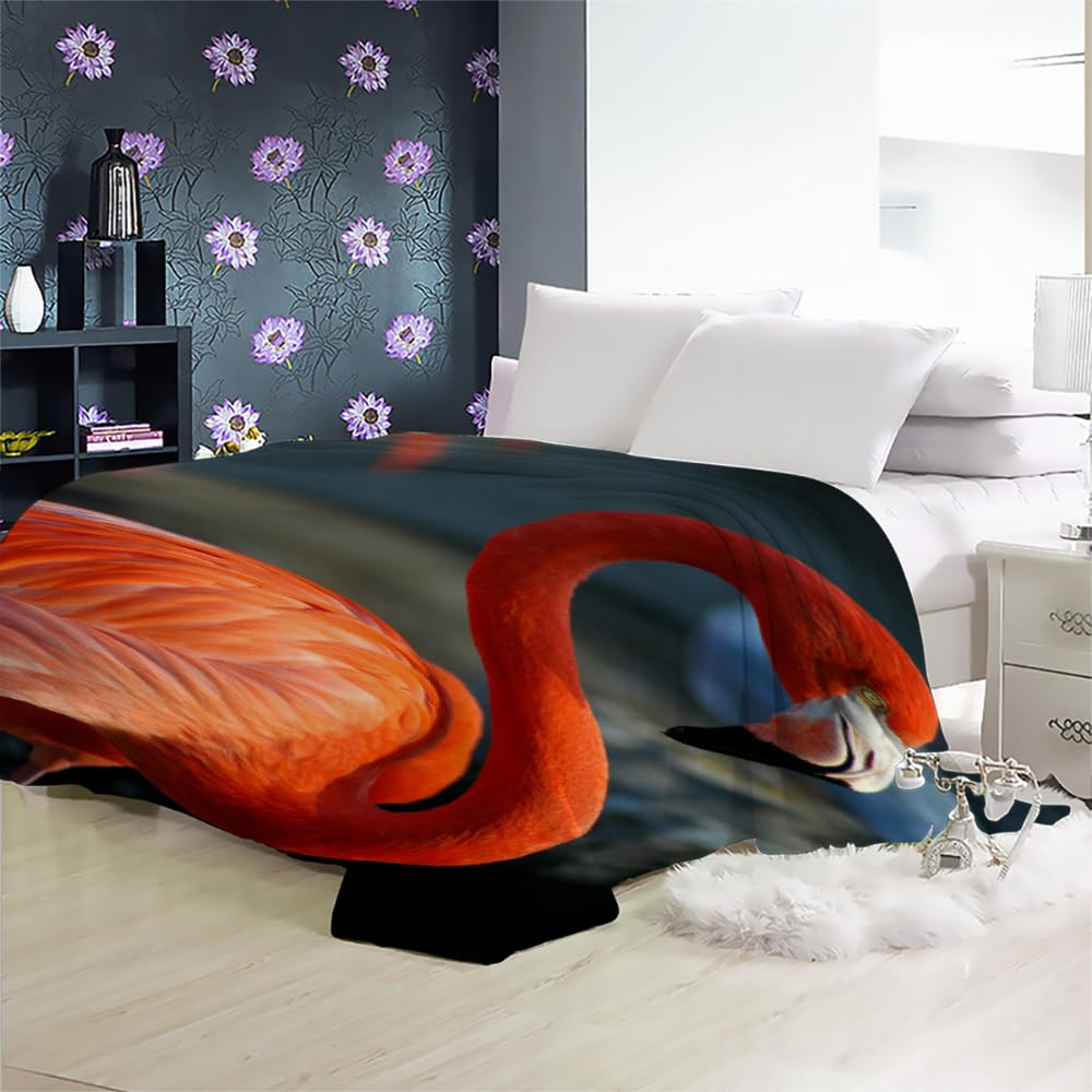Couverture Polaire Flanelle Flamingo 150X200 Couverture Polaire Epaisse Hiver Chaude,Couverture Lit Jete De Canape 1 Personnes,Grand Chaud Et Doux,B4