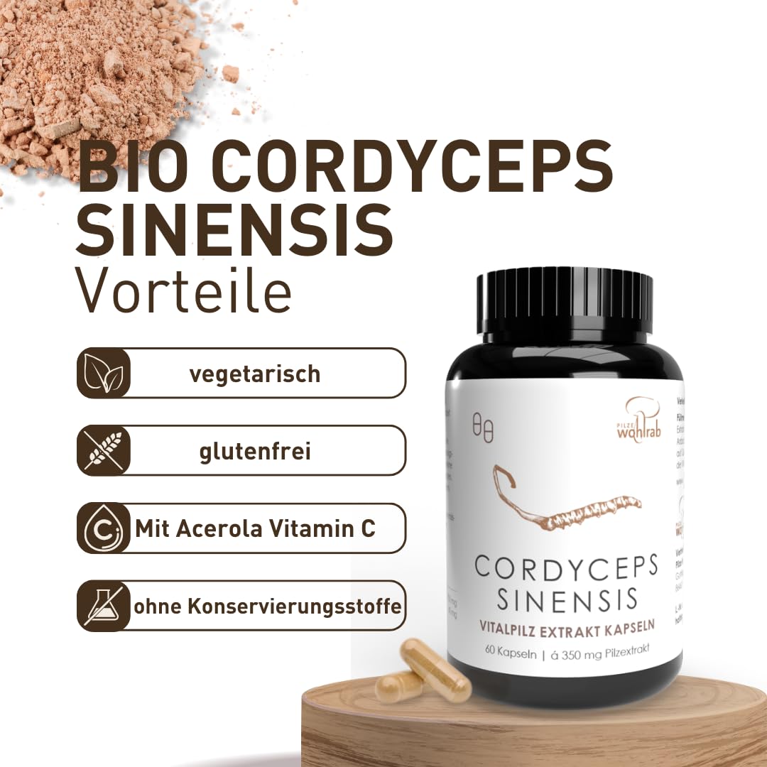 Bio Cordyceps Kapseln hochdosiert - 350 mg Cordyceps sinensis Extrakt je Kapsel - Bio Acerola Vitamin C - 1 Dose à 240 Stück - Nahrungsergänzungsmittel