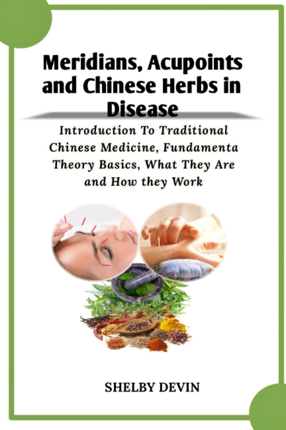 Meridians, Acupoints and Chinese Herbs in Disease: Introduction To Traditional Chinese Medicine, Fundamenta Theory Basics, What They Are and How they