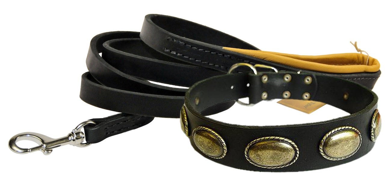 Collier Retro Rulz 45cm et laisse en cuir noir Dean et Tyler