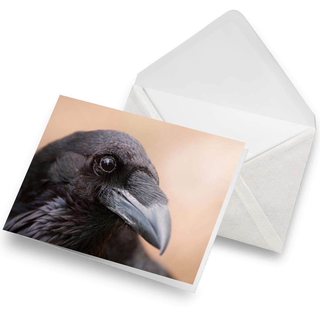 Greeting Card (A5) Set of 1 Card & 1 Envelope - Black Raven Bird Crow Wild Horror Blank Greetings Card Birthday Kids Party Boys Girls #24090