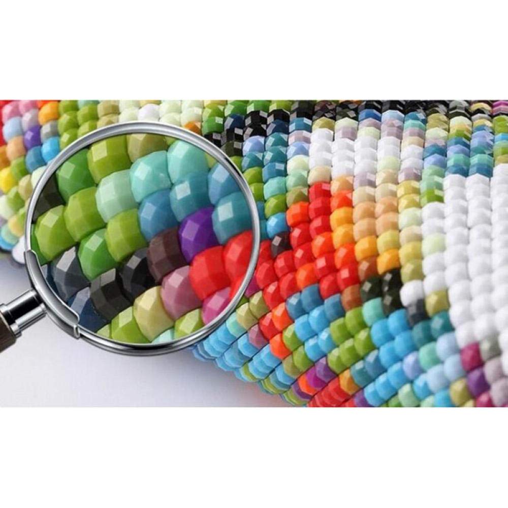 Kit Peinture Diamant 5D Canard Sauvage 30x40 Cm - Diamants Strass Résine - Toile Haute Définition - Activité DIY Adulte - Déco Murale