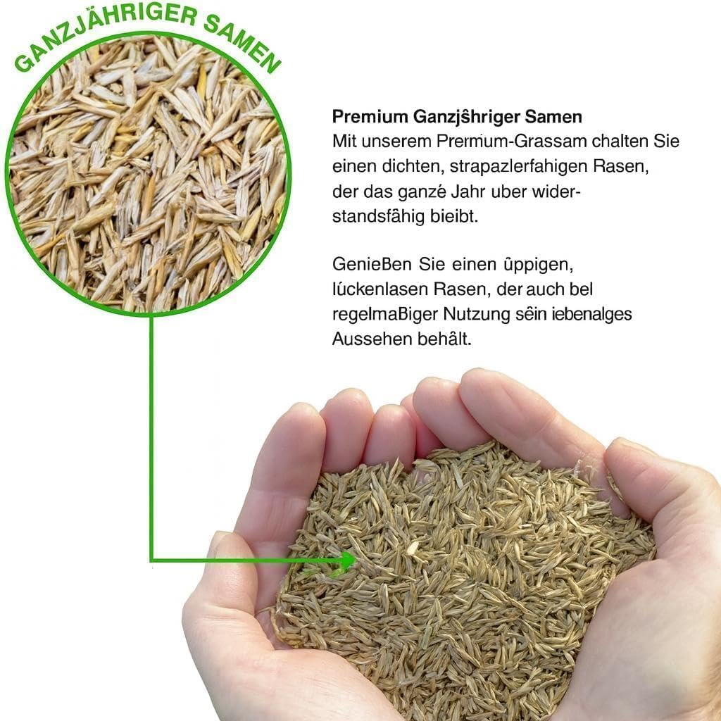 GroundMaster: seme di erba per prato posteriore premium resistente, resistente all'usura e resistente. Varie dimensioni disponibili.