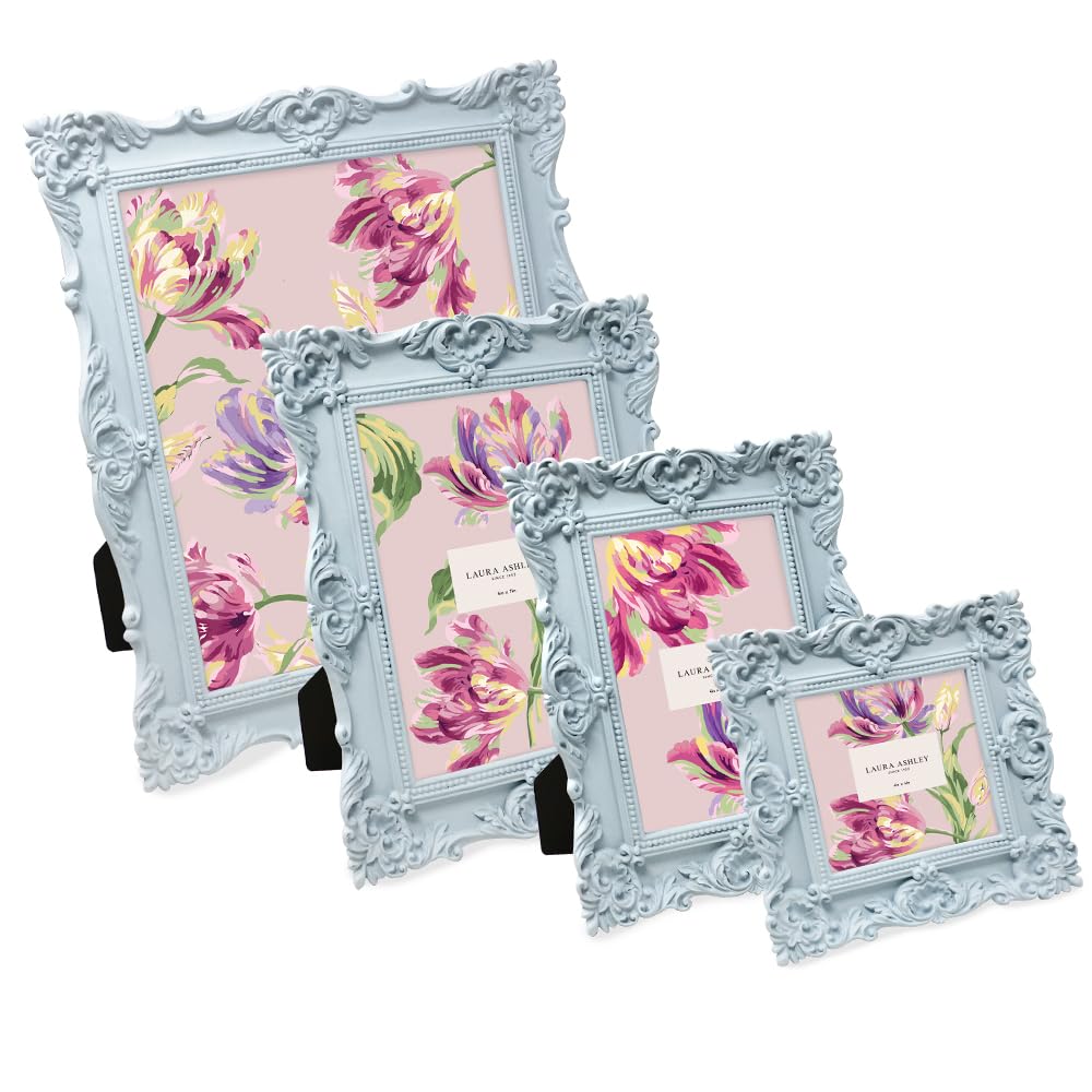 Amazon.com - Laura Ashley 5x7 Powder Blue Ornate Textured