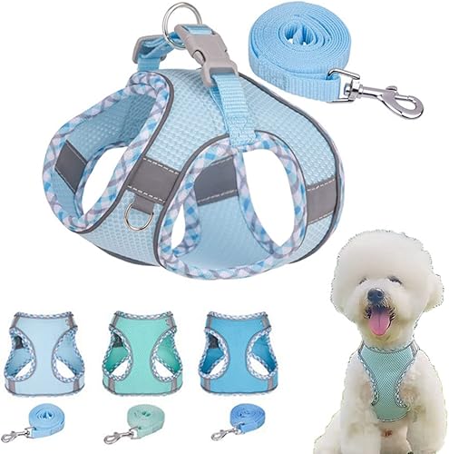 Juego de arnés y correa reflectante para cachorro, suave, transpirable, ligero, chaleco para mascotas con cuello halter para perros XXS XS, XS, S,