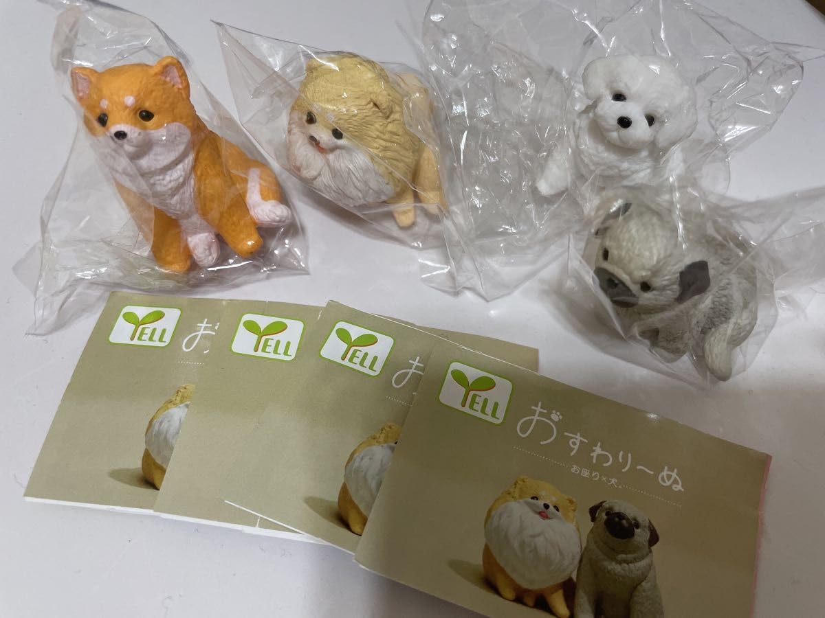 Amazon.co.jp: おすわり～ぬ パグ 柴犬 マルチーズ ポメラニアン ぱぐ