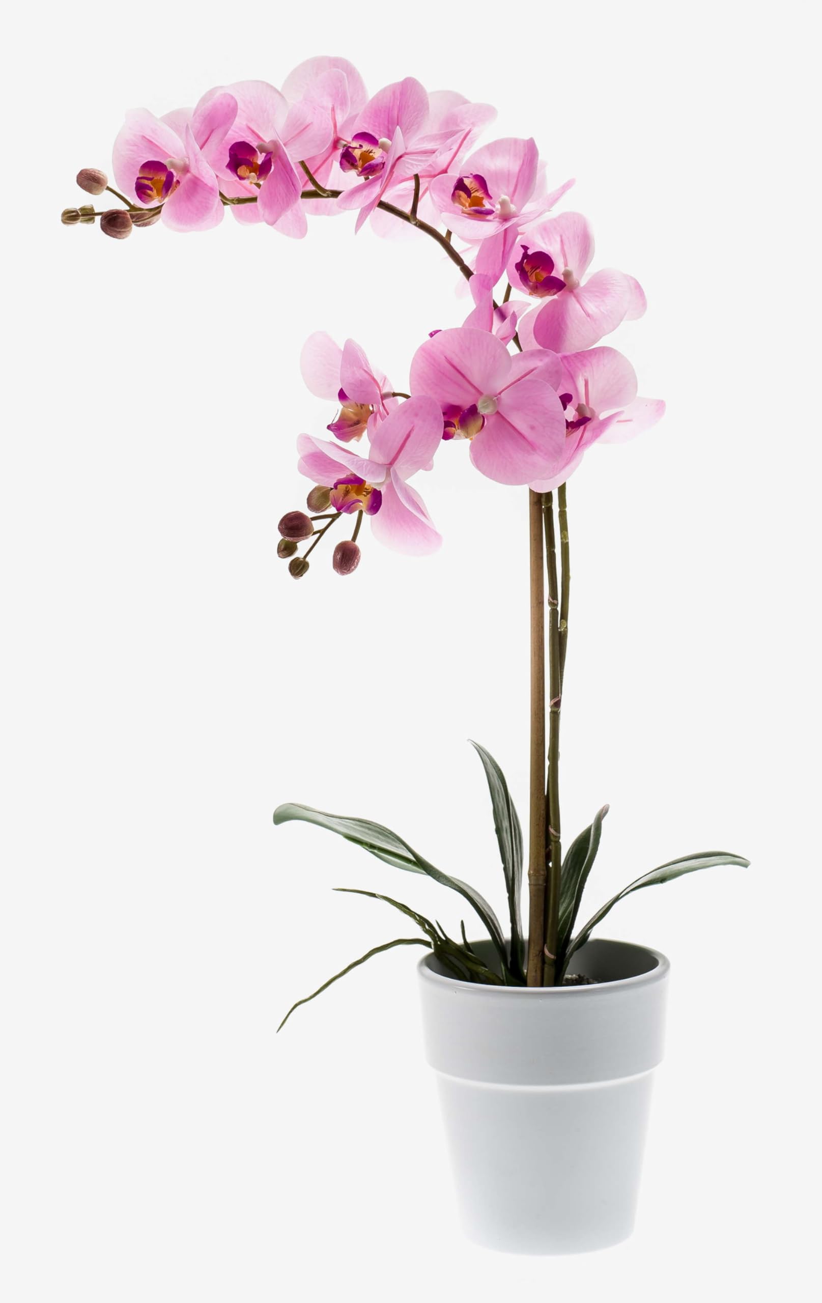 artplants.de Künstliche Orchidee Phalaenopsis Candida, 2 Zweige, rosa, im Topf, 65cm - Kunst Blume - Deko Pflanze