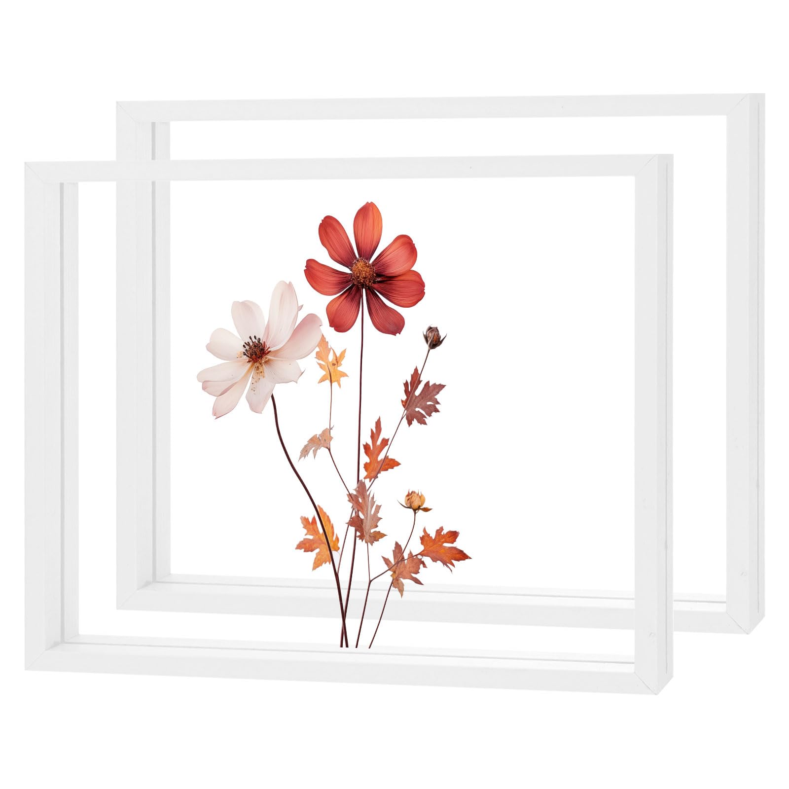 M METERXITY 2-Pack Wooden Pressed Flower Frame, 8 x 10 Inch Double Acrylic Floating Picture Frame for Dried Flowers/Tabletop/DIY/Handicrafts [White]