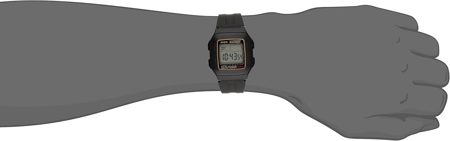 Casio Men's F201WA-9A Multi-Function Alarm Sports Watch