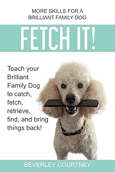 Fetch It!: Teach your Brilliant Family Dog to catch, fetch, retrieve, find, and bring things back!