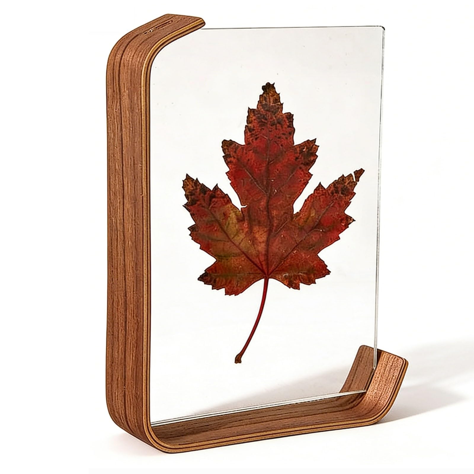 Photo Frame Double-Sided 3D Transparent Picture Frame for Displaying Plant Specimens, Embossed Flowers photograph(Walnut,12.7 * 17.8cm)