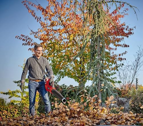 Einhell Professional Akku-Laubbläser GP-LB 36/210 Li E-Solo Power X-Change (Lithium-Ionen, 816m³/h Blasleistung, Turboschalter, 3-stufiges + abnehmbares Rohr, ohne Akku und Ladegerät)