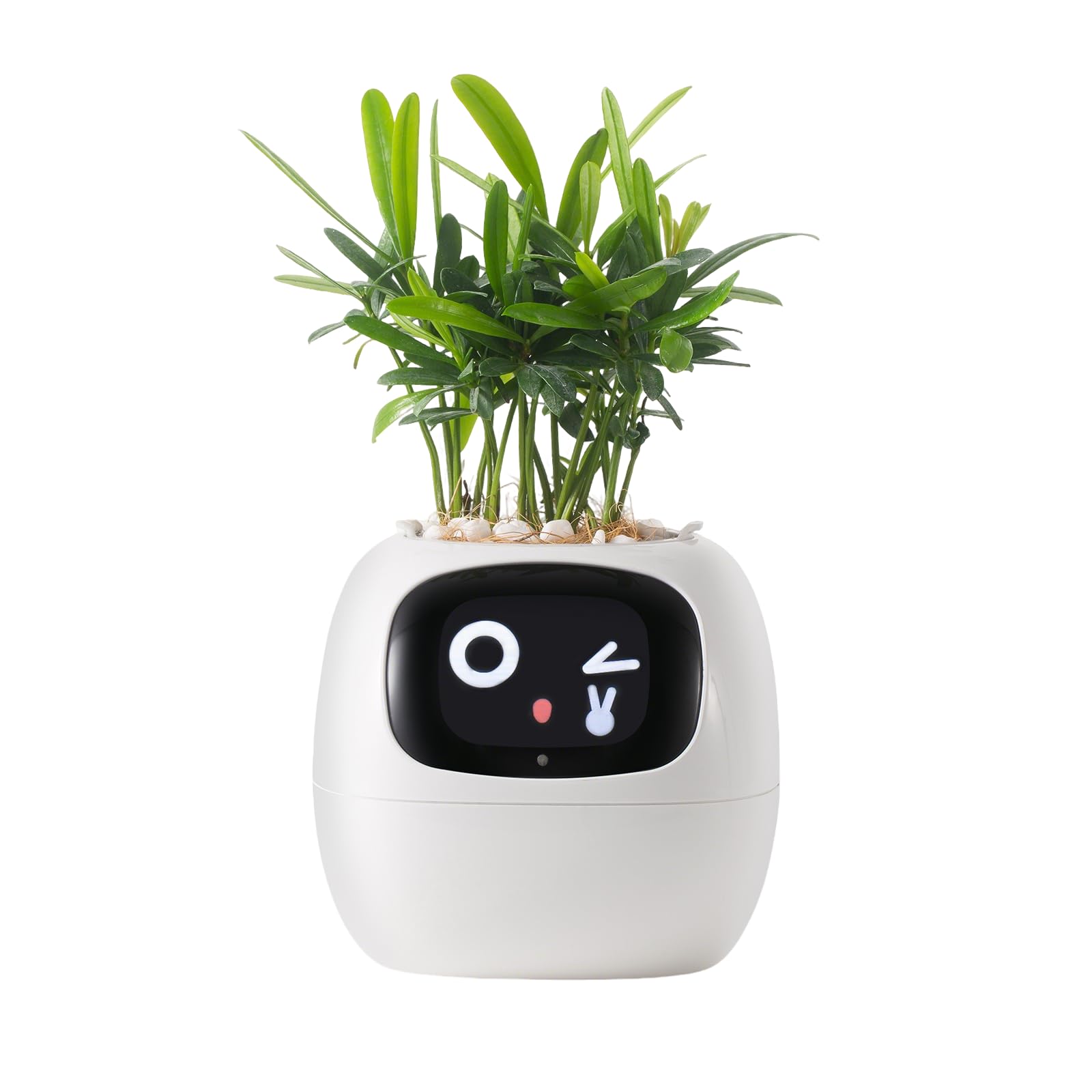 Niedlicher Intelligenter Blumentopf, Interaktiver Blumentopf, Multifunktional, Intelligent, 10 cm Pflanzt?pfe F¨¹r Den Innenbereich, Geschenk, F¨¹r Sukkulenten und Andere (wei?)