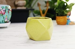 Leafy Tales Polygon Shape Ceramic Pot, Yellow, 1 pc (Polygon Yellow)-picture-13