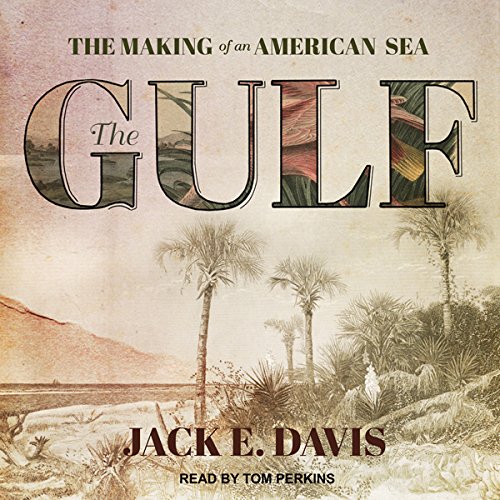 Cover art for The Gulf