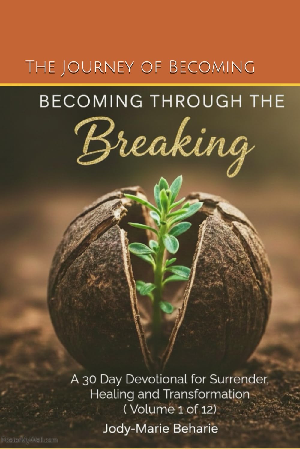 Becoming Through the Breaking: healing + surrender